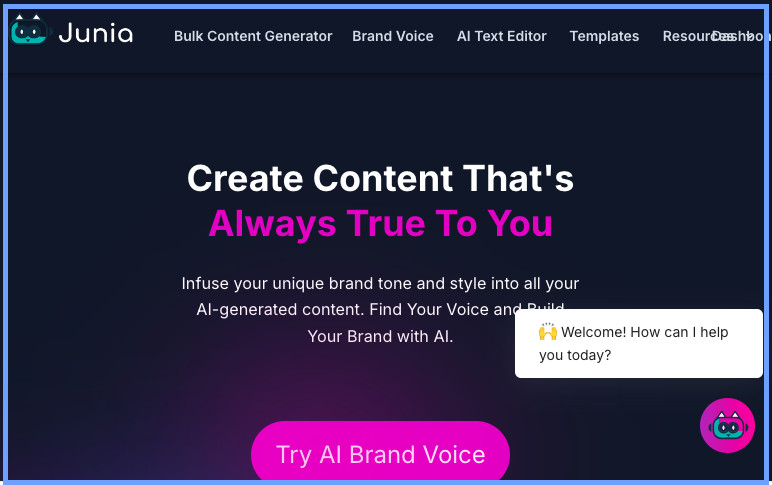 Screenshot of Junia AI website